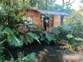 Tipi Bribri